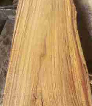 ash-wood
